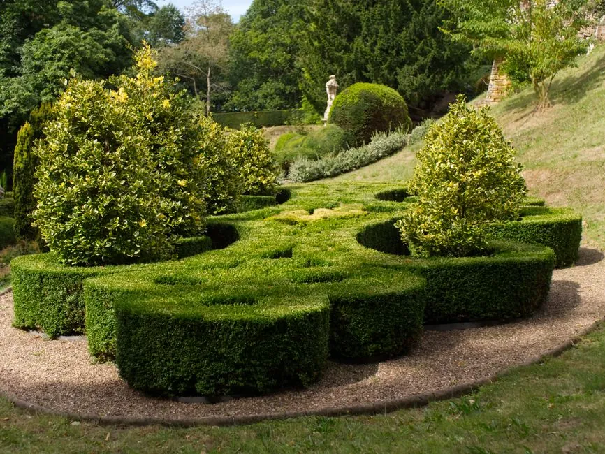 Jardin paysager avec plantations et haie soignee